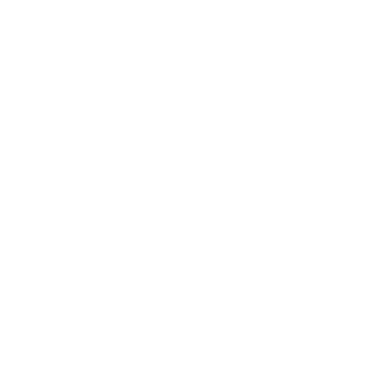 Logo Redbull Air Race