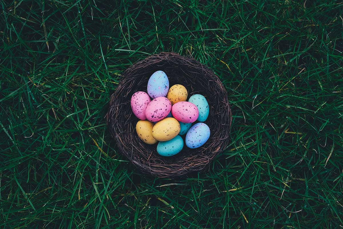 5 pasos para organizar una búsqueda de huevos de Pascua con éxito