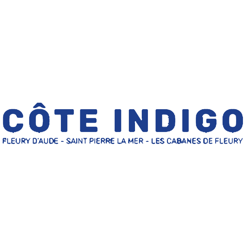 Logo Marathon de la côte indigo