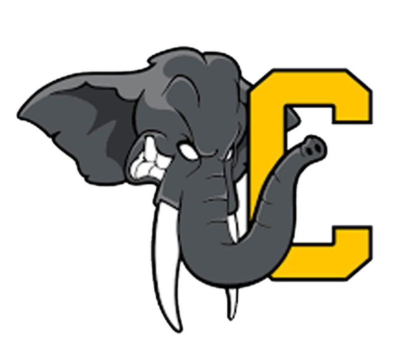 Logo Les Elephants Chambery