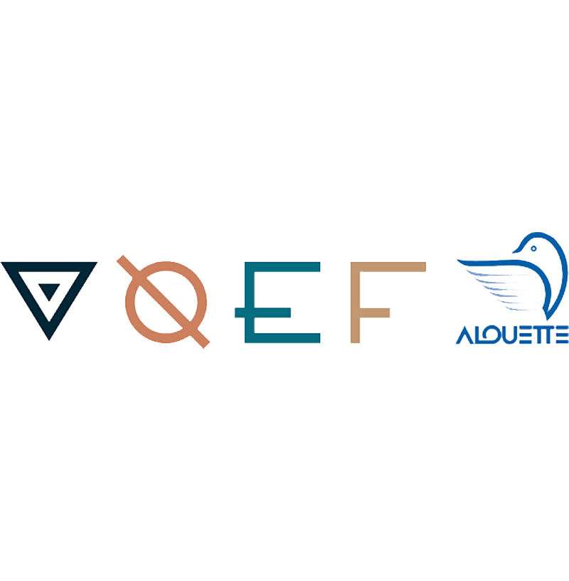 Logo Vieux quai en fête