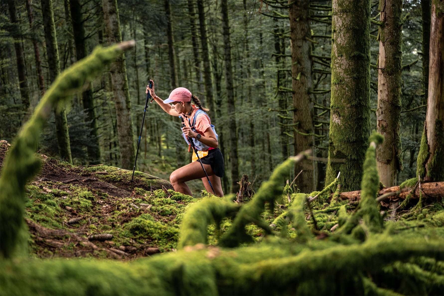Optimiser la gestion des bénévoles sur un terrain complexe