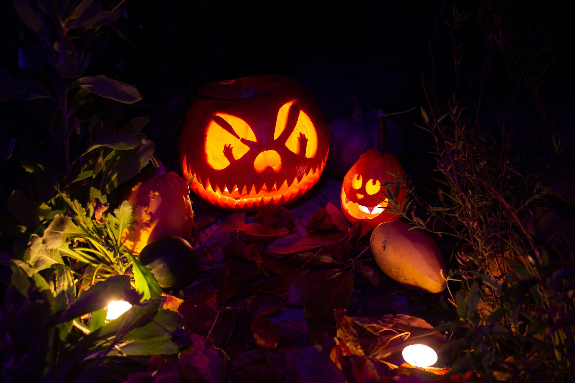 how to plan a halloween party