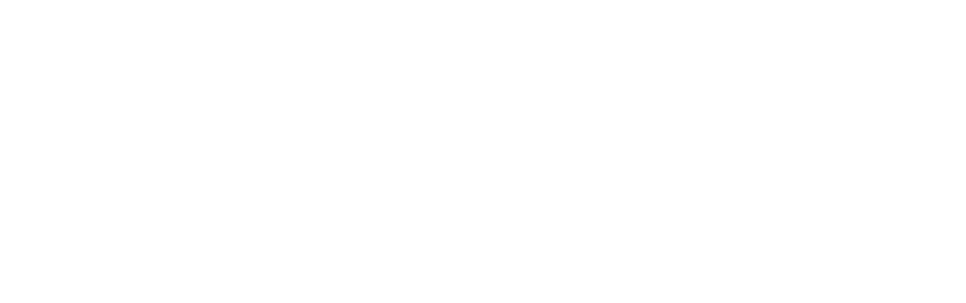 Visite du Pape Léon XIV en France
